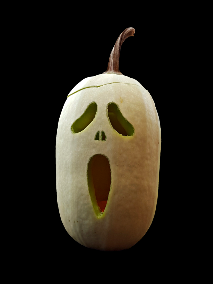 Autumn cucurbita maxima choose