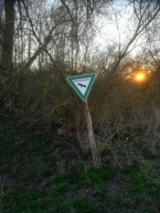 Falk Oberdorf Schweinsberger Moor 1