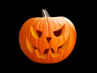 Autumn cucurbita maxima choose