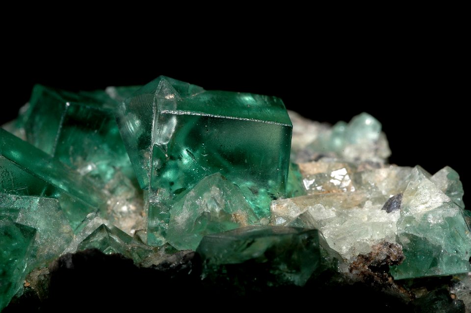 Fluorine (Angleterre)