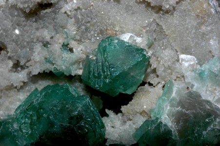 Fluorine verte (Espagne)
