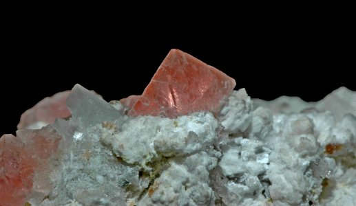 Fluorite rose (France)
