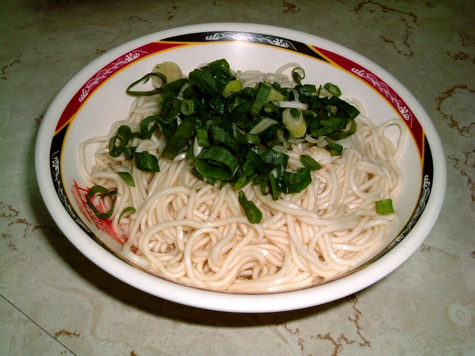 Foolish Noodle One
