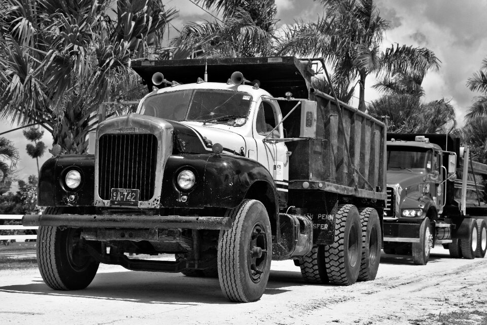 Antique old black and white