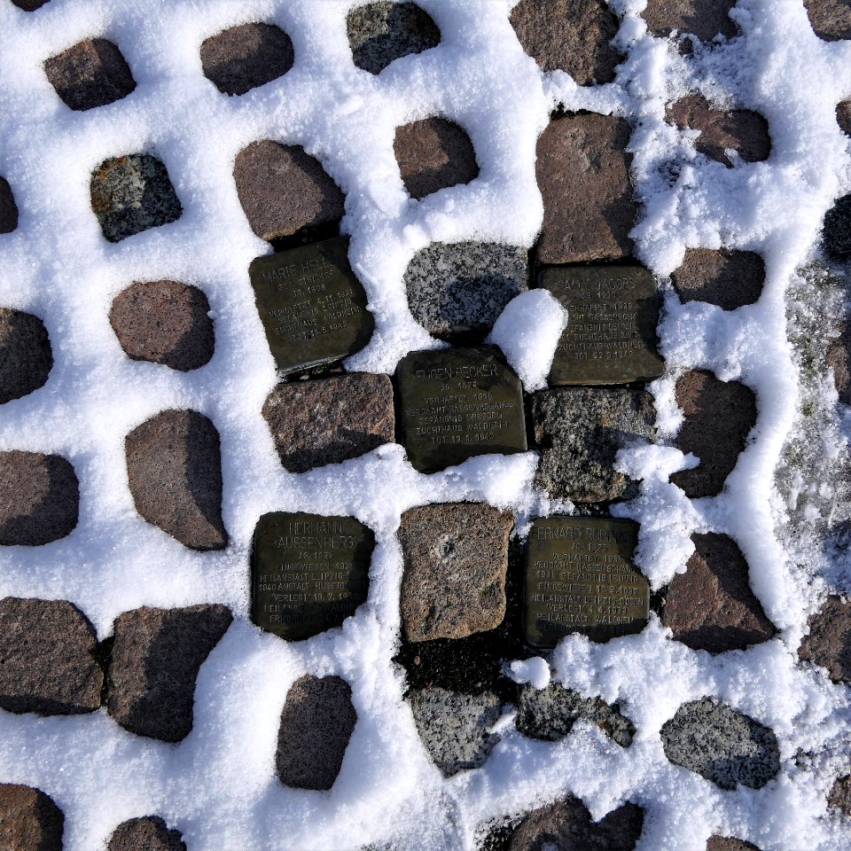 Fünf Stolpersteine im Schnee, Augustinerplatz, Waldheim