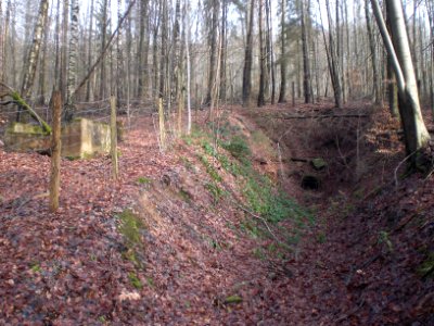 Giesel Ehem. Bergwerk Aufgrabung Stollen