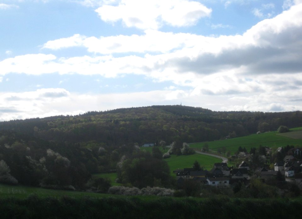 Grauer Kopf (Zorn)