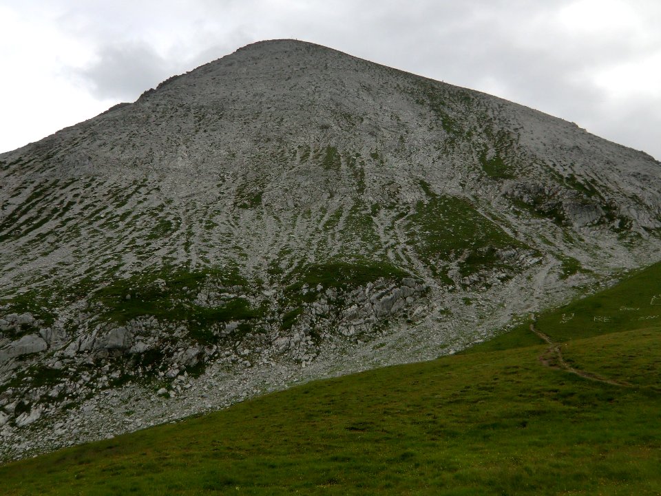 Griesskopf Sommer 2014