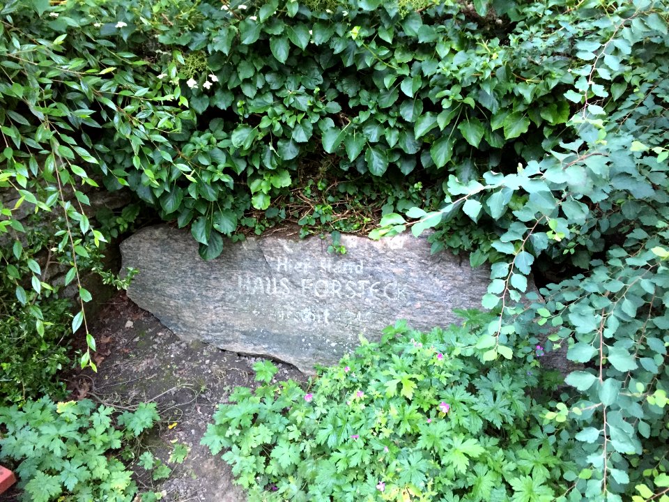 Haus Forsteck Diederichsenpark