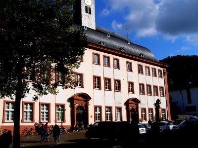 HeidelbergAlteUniversität