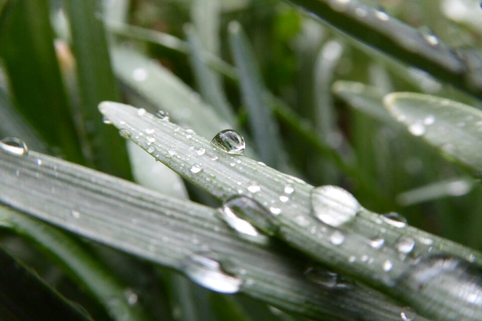 Nature blur outdoor