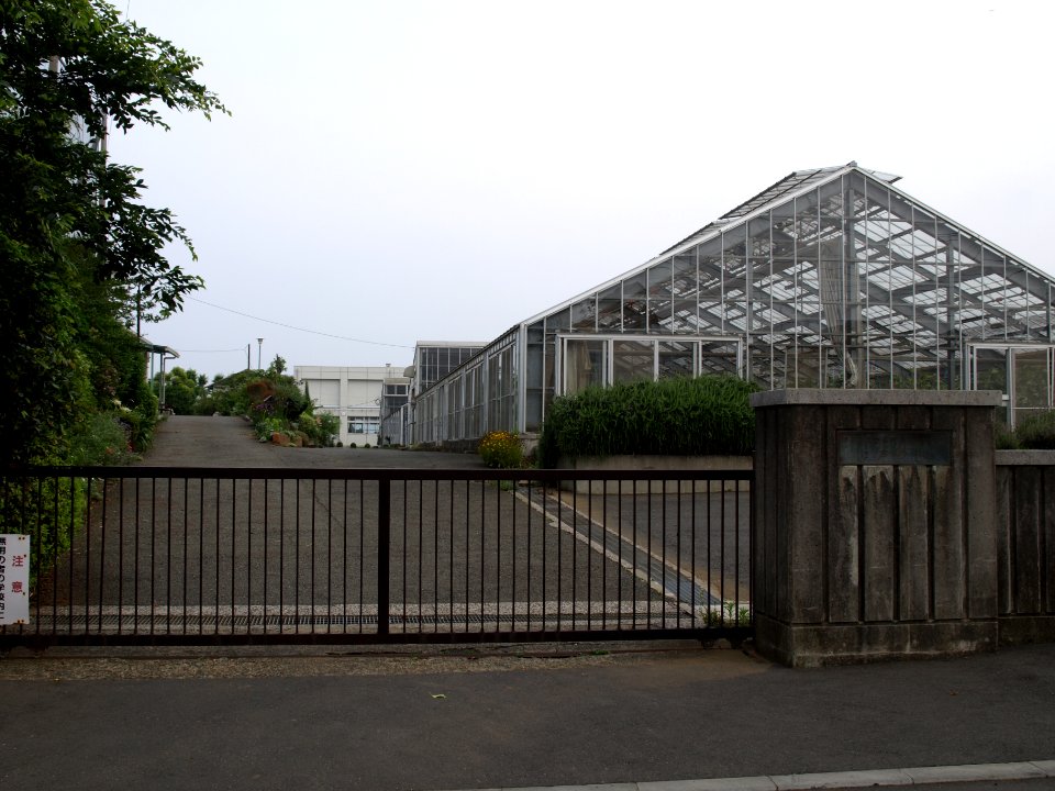 Hiratsuka hasse highschool