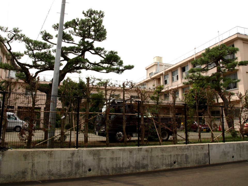 Hiratsuka konan highschool
