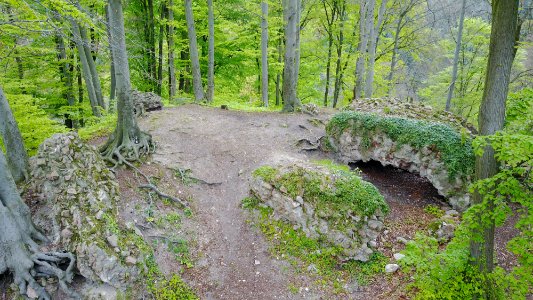Hirschburg Burgplateau-2017 Luftaufnahme