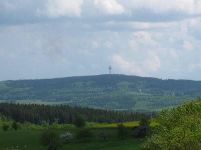 Hohe Wurzel vom Kemeler Rücken (bei Kemel)
