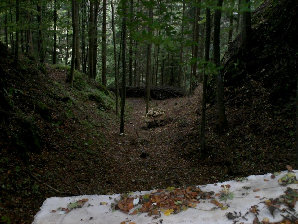 Hohenwang östlicher Halsgraben