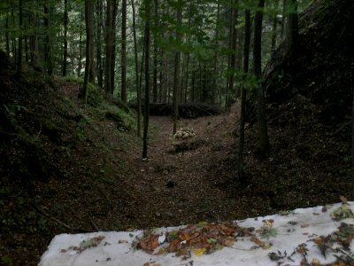 Hohenwang östlicher Halsgraben