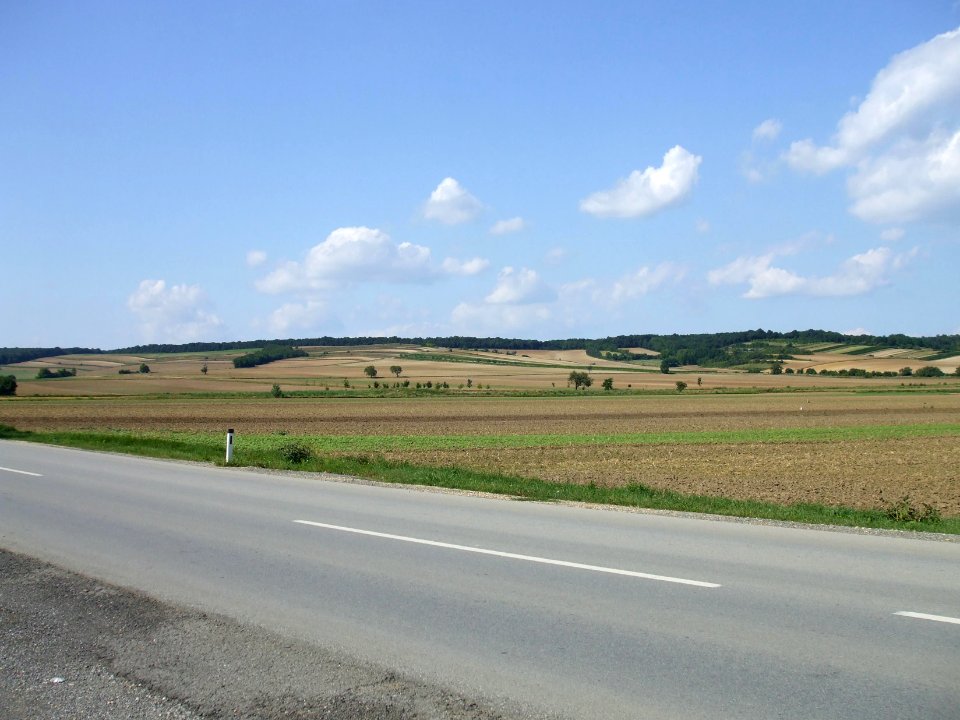 Hundsheimer Berge-1