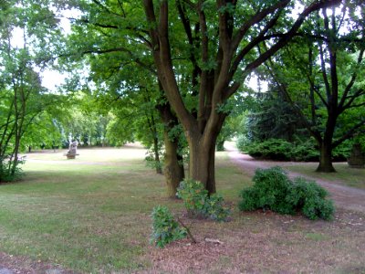 HYParkBzAllee
