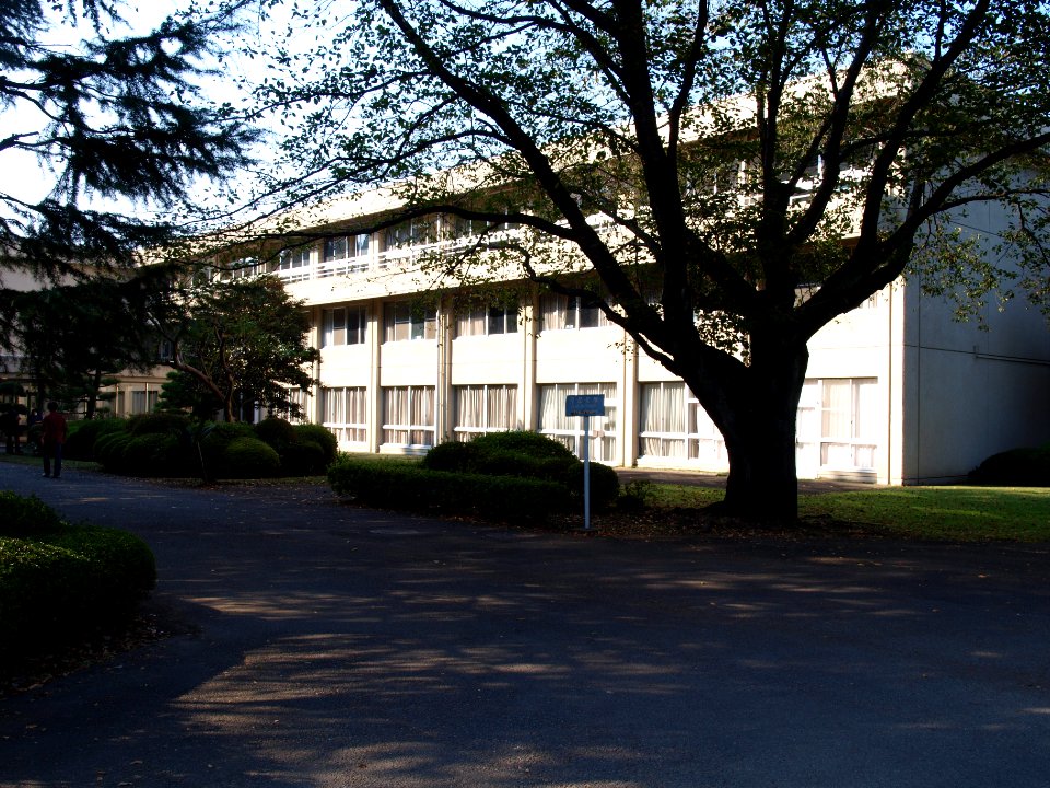 ICU High School
