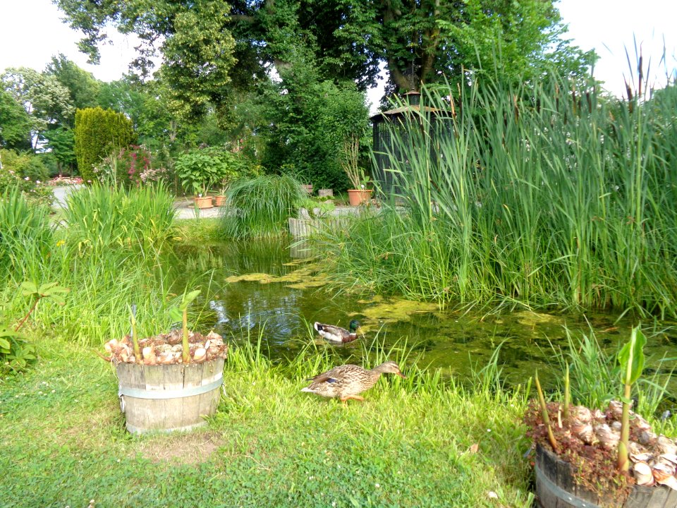 Idyll im Rosarium Sangerhausen