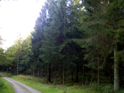 ImpressionHandewitt