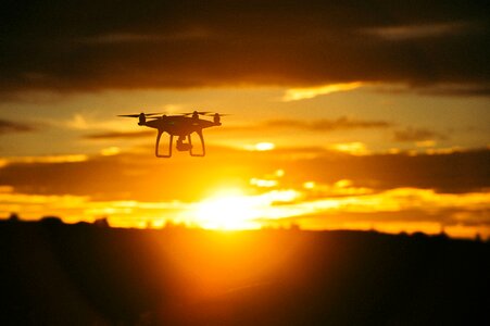 Nature drone sunset