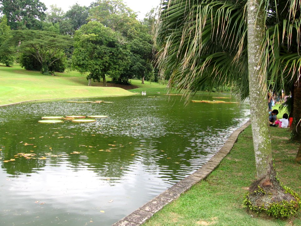 Istana 3, Singapore, Jan 06