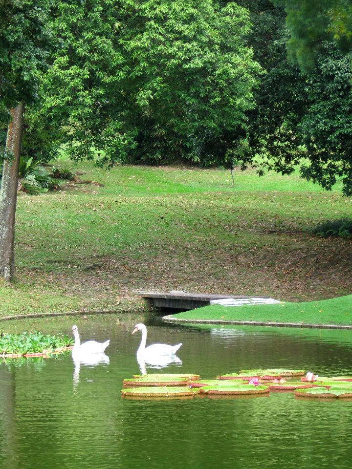 Istana 5, Singapore, Jan 06