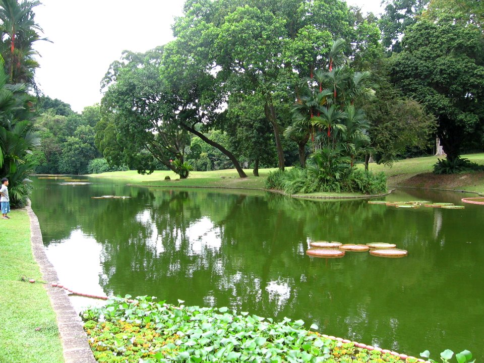 Istana 8, Singapore, Jan 06