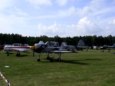 Jakrotte03