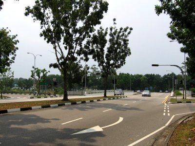 Jalan Kayu Flyover, Aug 06 photo