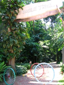 Jungle Trail, Sentosa, Aug 06