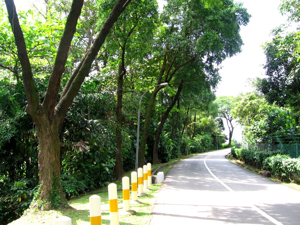 Jurong Hill, Nov 06