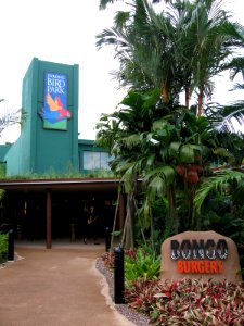 Jurong BirdPark 6, Nov 06