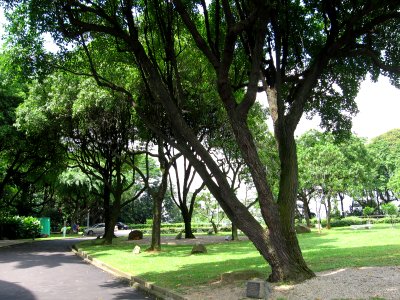 Jurong Hill 3, Nov 06