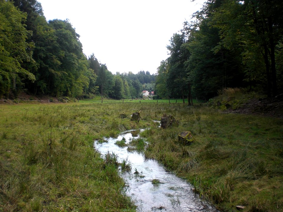 Kalte Lüder; Gewäserlauf nördlich des Wohnplatz -Zwickmühle- Gemarkung Giesel der Gemeinde Neuhof