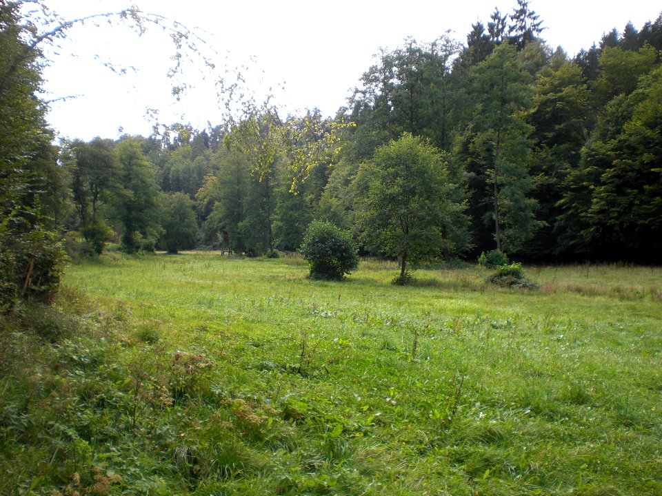 Kalte Lüder; Talzug südlich der Hessenmühle