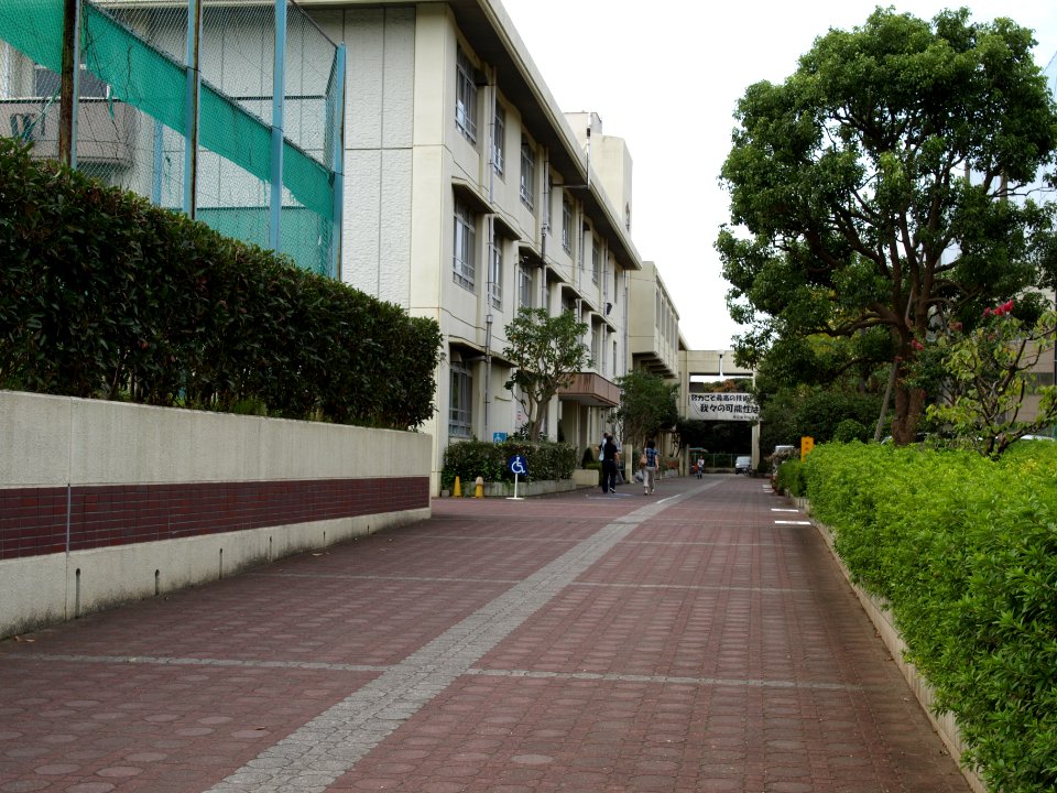 Kamariya highschool