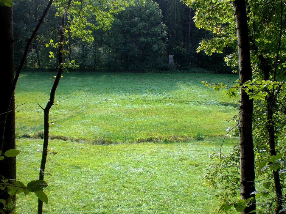 Kalte Lüder; Talzug nördlich der Sieberzmühle