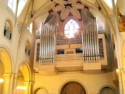 Kastor Koblenz Orgel Prospekt