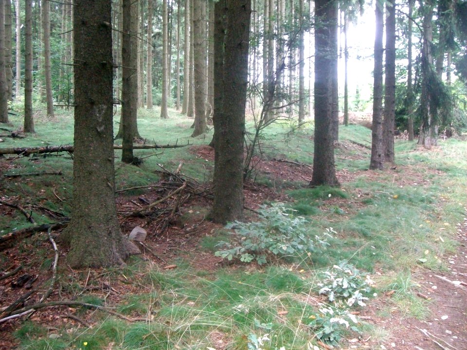Kleinkastell Eichelgarten 004