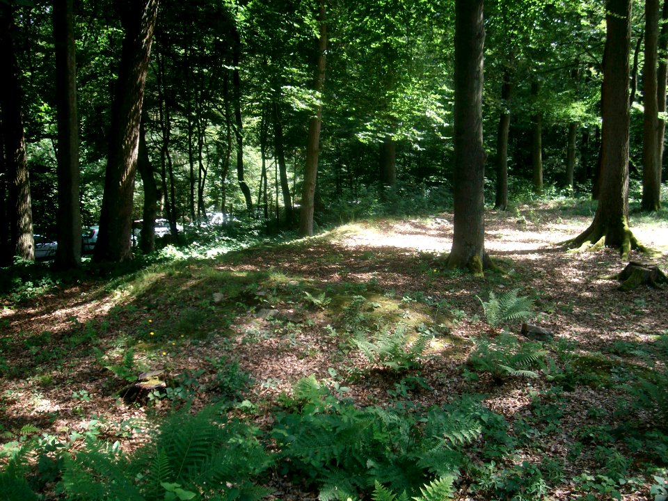 Kleinkastell Lochmühle 101