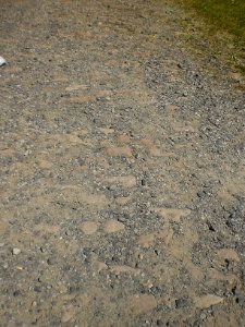 Kleinlüder; Altes Sandseinpflaster des Ortesweges bei Kleinheiligkreuz