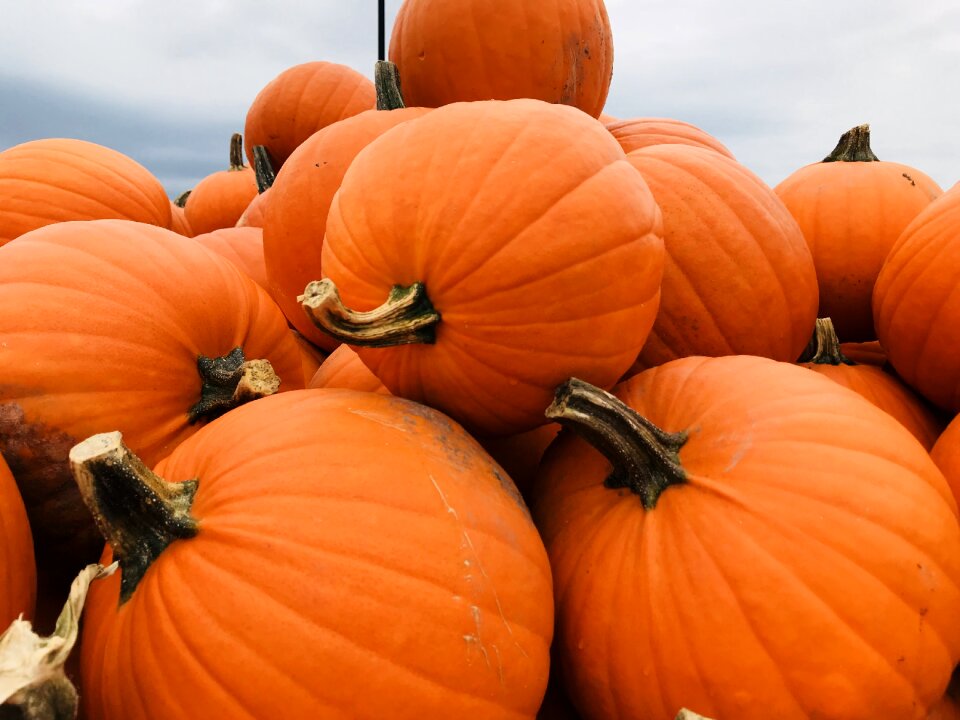 Orange october halloween