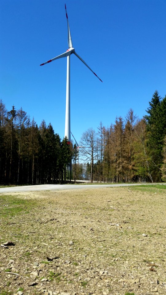 Kuhbett mit WEA 1 + 4