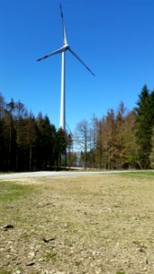 Kuhbett mit WEA 1 + 4