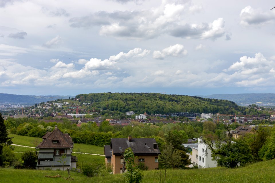 Käferberg gesehen vom Zürichberg