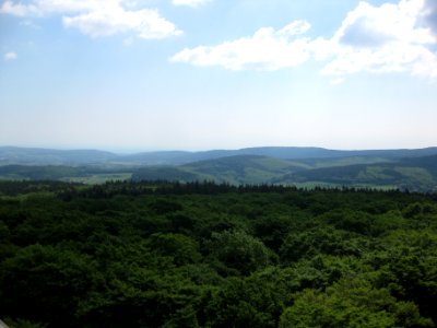 Langhals und östlicher Taunushauptkamm