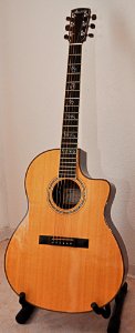 Larrivee LVS 11 E